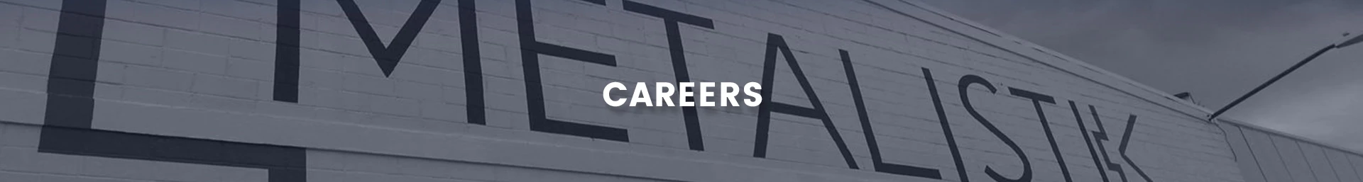 Career